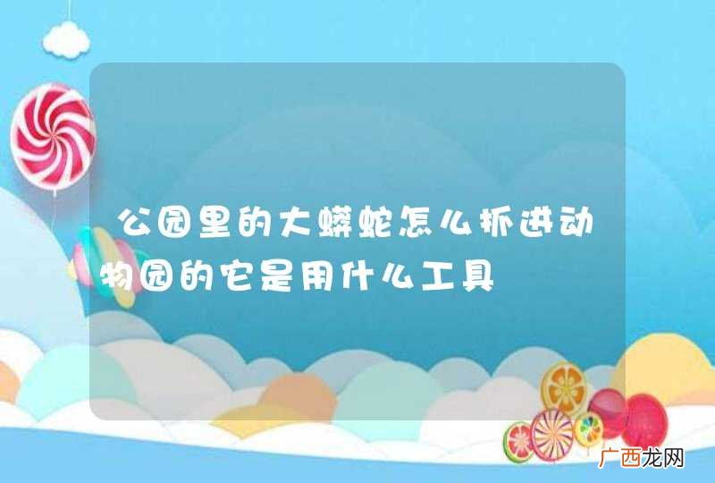 公园里的大蟒蛇怎么抓进动物园的它是用什么工具