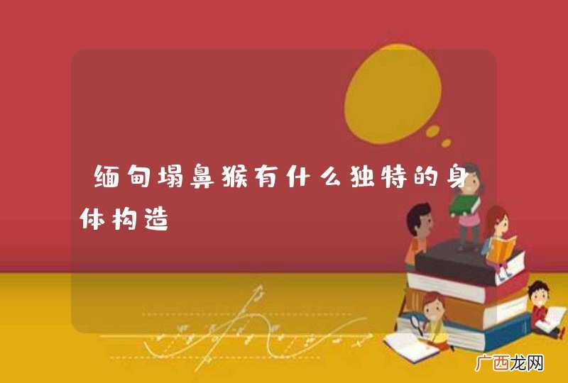 缅甸塌鼻猴有什么独特的身体构造？