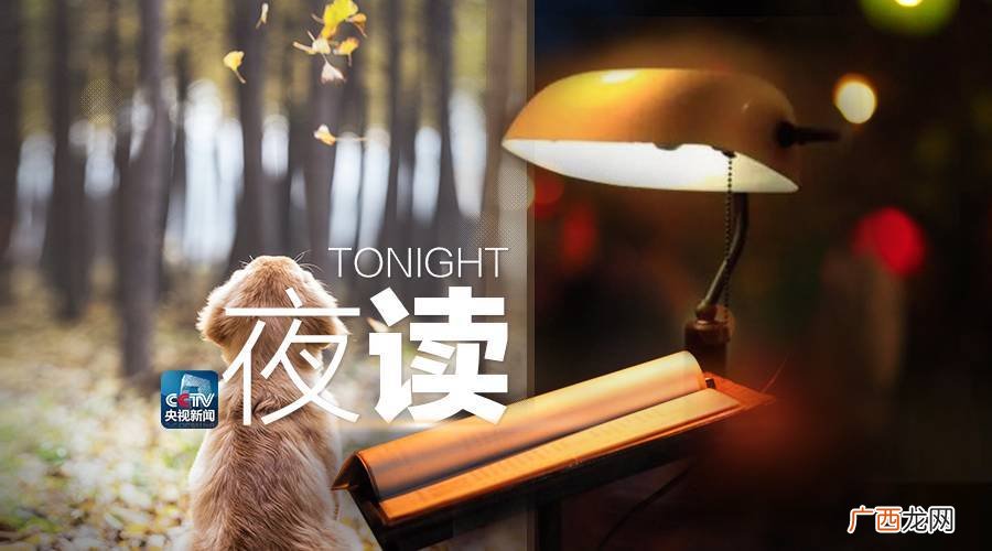倘使的意思,徜的形近字？