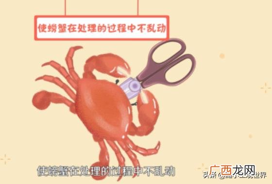 杀螃蟹有什么技巧,梭子蟹怎么杀？