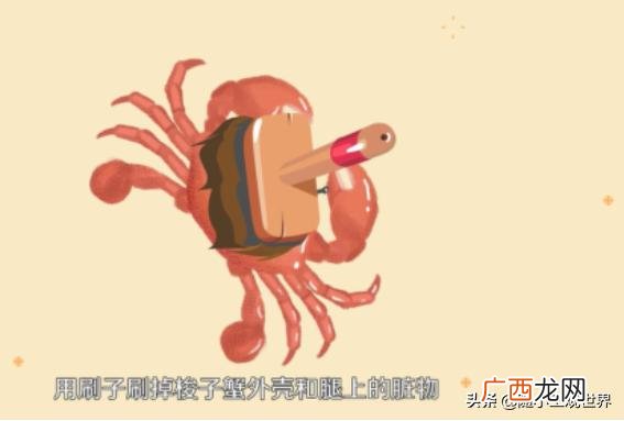 杀螃蟹有什么技巧,梭子蟹怎么杀？