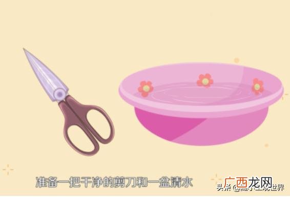 杀螃蟹有什么技巧,梭子蟹怎么杀？