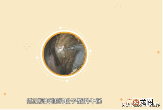 杀螃蟹有什么技巧,梭子蟹怎么杀？