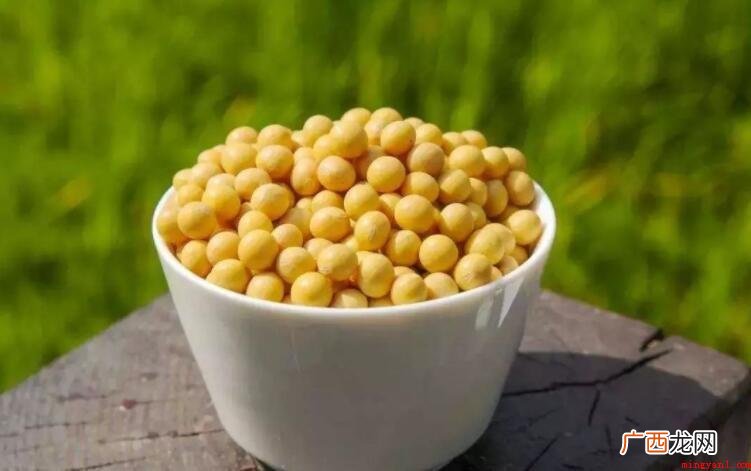 黄豆吃多了有什么坏处_健康频道 黄豆吃多了有什么坏处