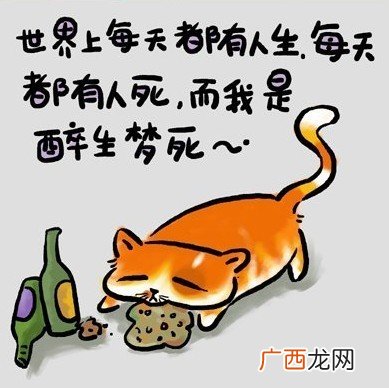 人生价值观是什么,为什么要树立人生价值观？