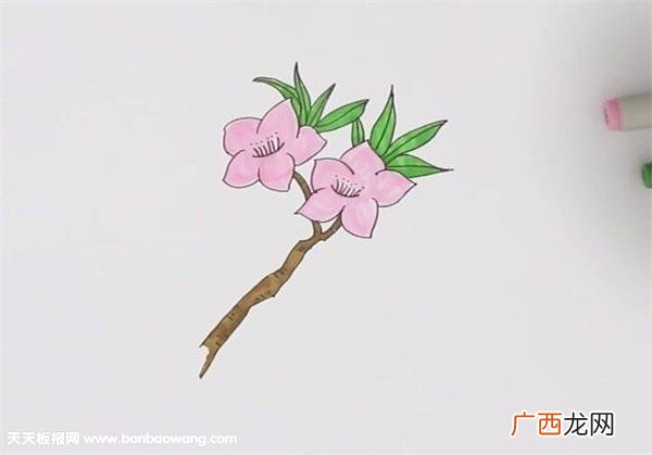 怎么画桃花,怎样画桃花的基本结构图？
