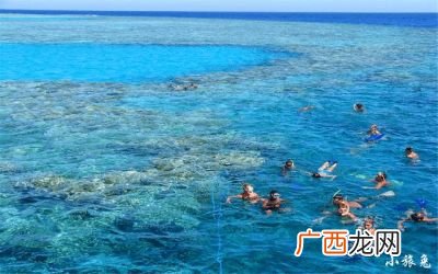 世界上最咸的海和最淡的海是什么,什么是海洋之最？