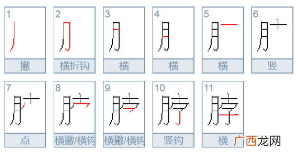 脖组词脖的组词脖字怎么组词,颈有什么组词图片？