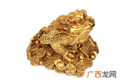 家里金蟾招财位置讲解 金蟾摆放在家里哪个方位最佳