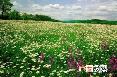 烂漫是什么意思,烂漫璀璨的释义？
