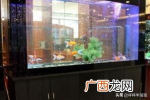鱼缸里水发黄是怎么回事儿,鱼缸里的水发黄怎么办？