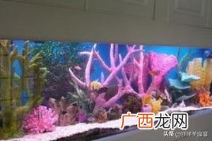 鱼缸里水发黄是怎么回事儿,鱼缸里的水发黄怎么办？
