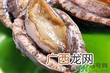活鲍鱼可以放多长时间,鲍鱼收藏几天才好吃？