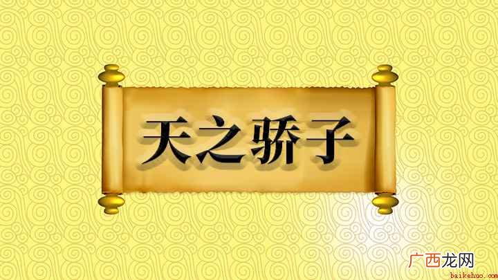天之骄子什么意思