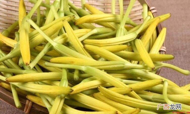 黄花菜什么人不能吃_健康频道 黄花菜什么人不能吃