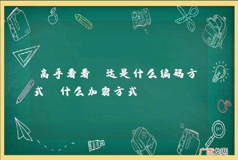 高手看看 这是什么编码方式？什么加密方式？？