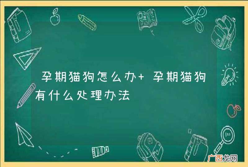 孕期猫狗怎么办 孕期猫狗有什么处理办法