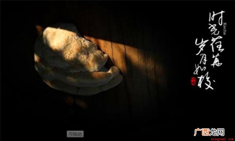 时光荏苒是个汉语成语,汉语拼音是sh gung rn rǎn 时光荏苒是什么意思啊