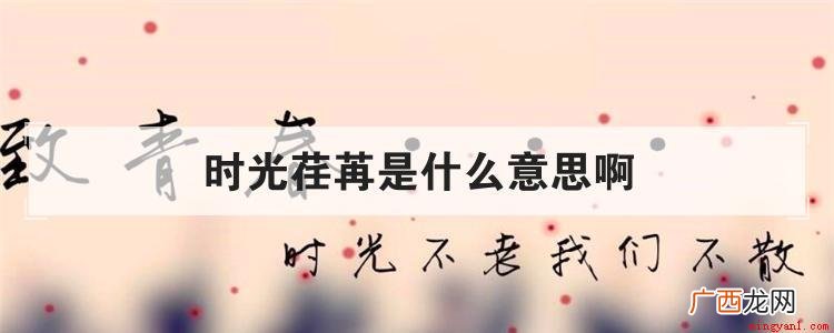 时光荏苒是个汉语成语,汉语拼音是sh gung rn rǎn 时光荏苒是什么意思啊