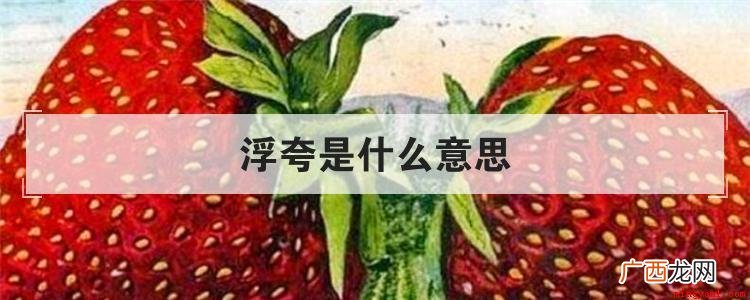 会议主持人指责某些做法是浮夸的作风,不切实际 浮夸是什么意思
