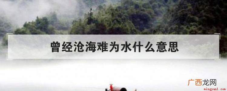 曾经沧海难为水,除却巫山不是云 曾经沧海难为水什么意思