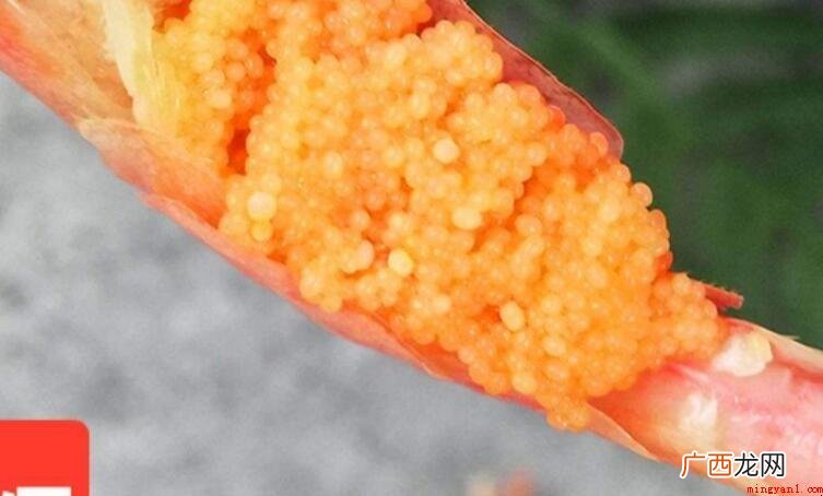 虾籽能吃吗?_健康频道 虾籽能吃吗