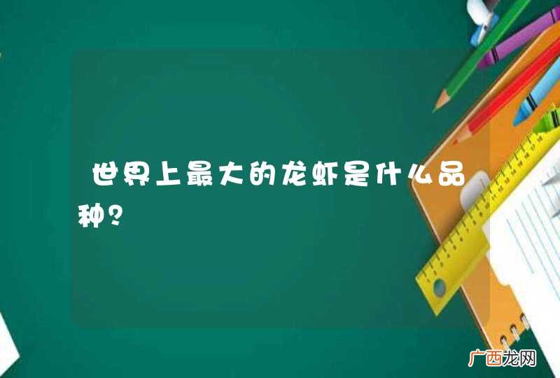 世界上最大的龙虾是什么品种？