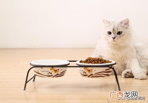 猫咪拉稀了怎么办,猫咪拉稀怎么办？