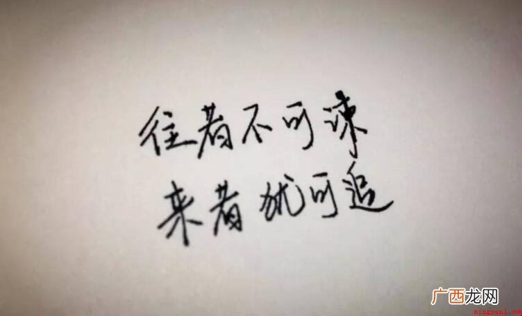 往事不可谏来者犹可追什么意思