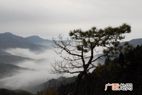巍峨什么意思,巍峨耸立的意思？