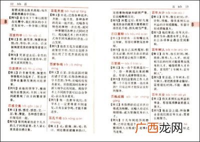 带懂字的成语和词语,懂字开头的四字成语？