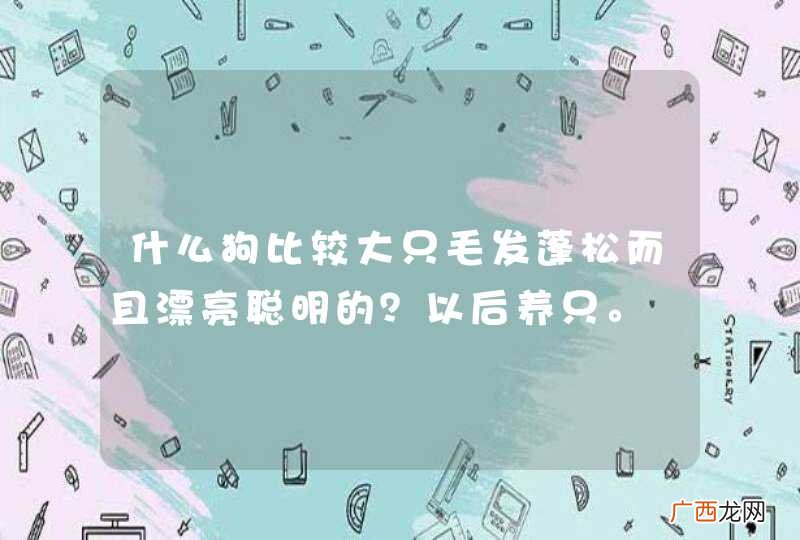 什么狗比较大只毛发蓬松而且漂亮聪明的？以后养只。