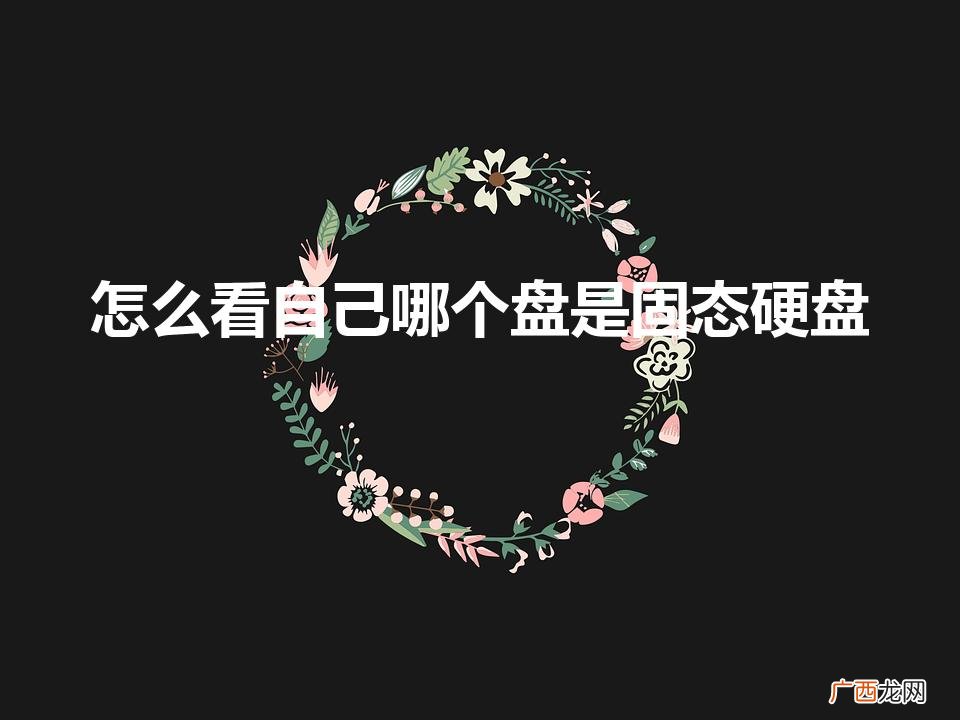 怎么看自己哪个盘是固态硬盘(如何看自己哪个盘是固态硬盘)