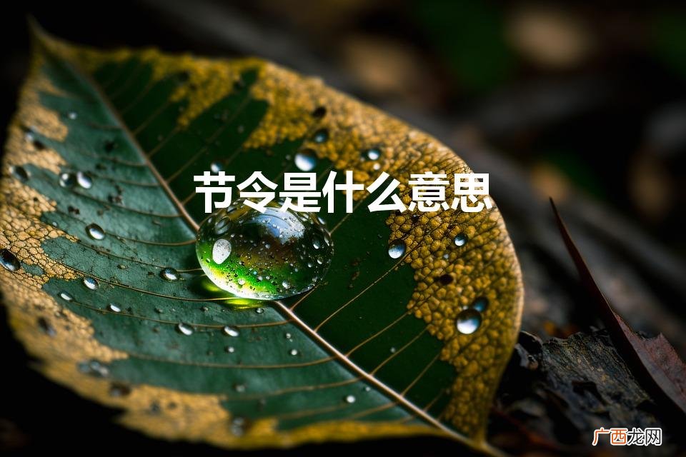 节令是什么意思（冬至节令是什么意思)