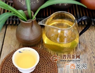 大叶种茶属于什么茶,大叶子茶属于什么茶？