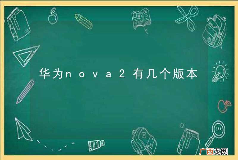 华为nova2有几个版本