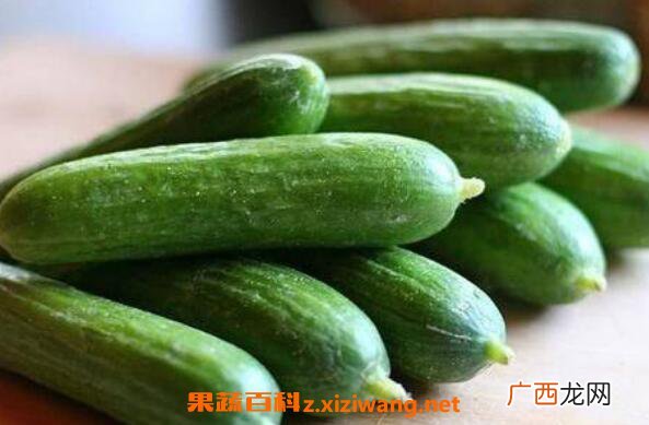 青瓜和黄瓜有什么区别,山东密刺黄瓜和大刺黄瓜区别？