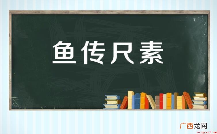 鱼传尺素的造句有哪些? 鱼传尺素的造句有哪些