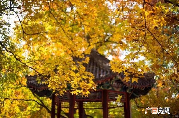 天下有大勇者,岂曰无声河山即名出自何处？