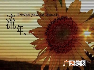 心语,心语短句？