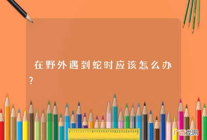 在野外遇到蛇时应该怎么办？