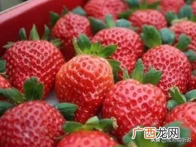 冻草莓可以存放多久,如何冷冻草莓?