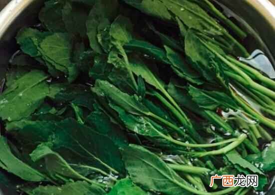 橄榄菜可以生吃吗