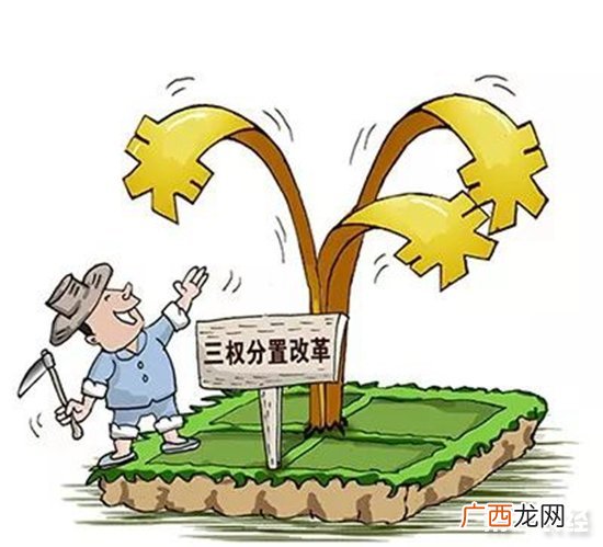 三权分置是什么,农村三权分置改革的含义高中政治？