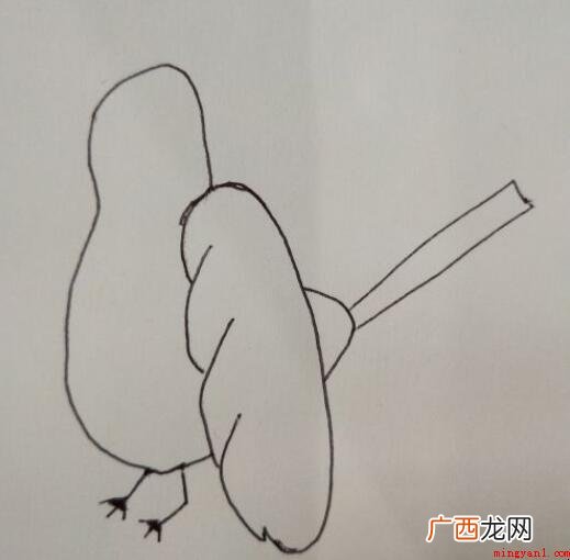 喜鹊简笔画怎么画【图】_美容 喜鹊简笔画怎么画
