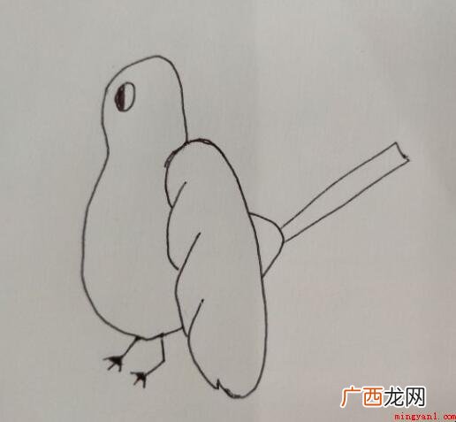 喜鹊简笔画怎么画【图】_美容 喜鹊简笔画怎么画