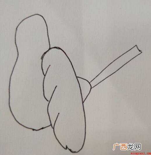 喜鹊简笔画怎么画【图】_美容 喜鹊简笔画怎么画