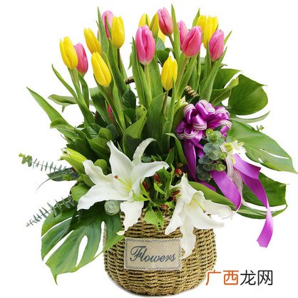 什么花的花语表道歉,什么花适合表达歉意？