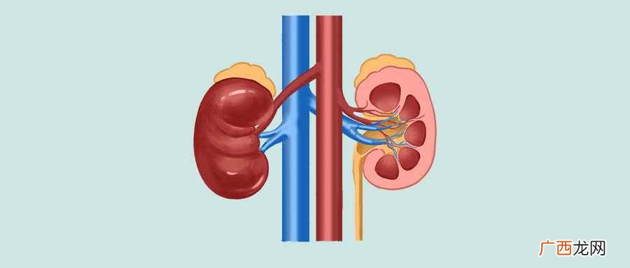 玉屏风散具有健脾益气、燥湿利水等功效 玉屏风散的作用与功效