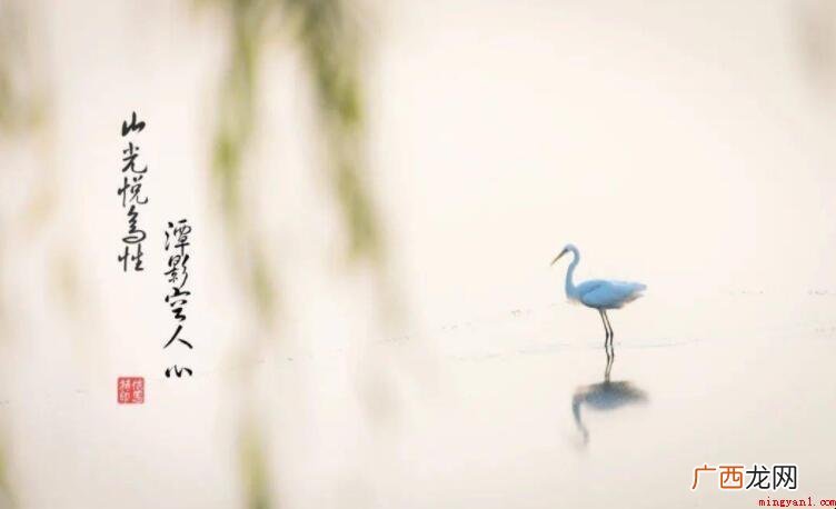 和时间有关的诗句有哪些
